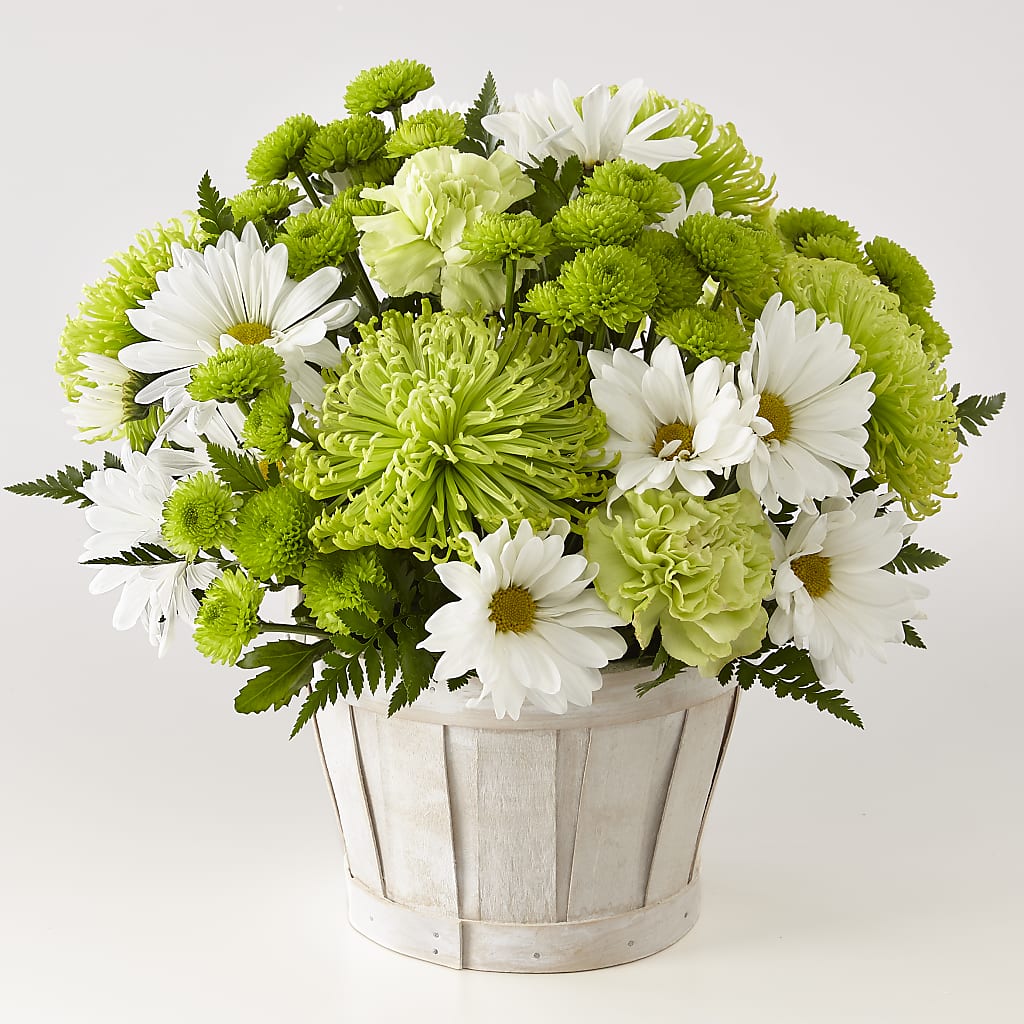 Lucky Charm Basket (Standard) – Maplewood Florist, Maplewood NJ