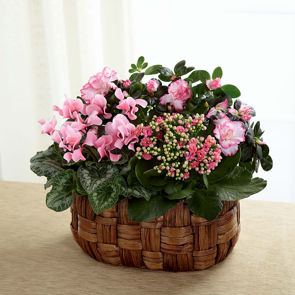 Pink Assortment – Maplewood Florist, Maplewood NJ