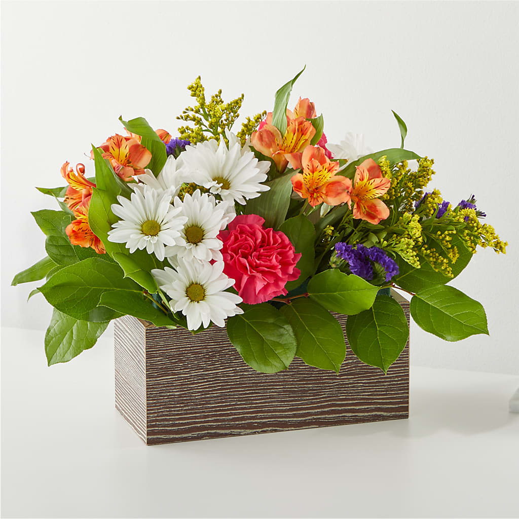 Oopsie Daisy Box Bouquet – Maplewood Florist, Maplewood NJ