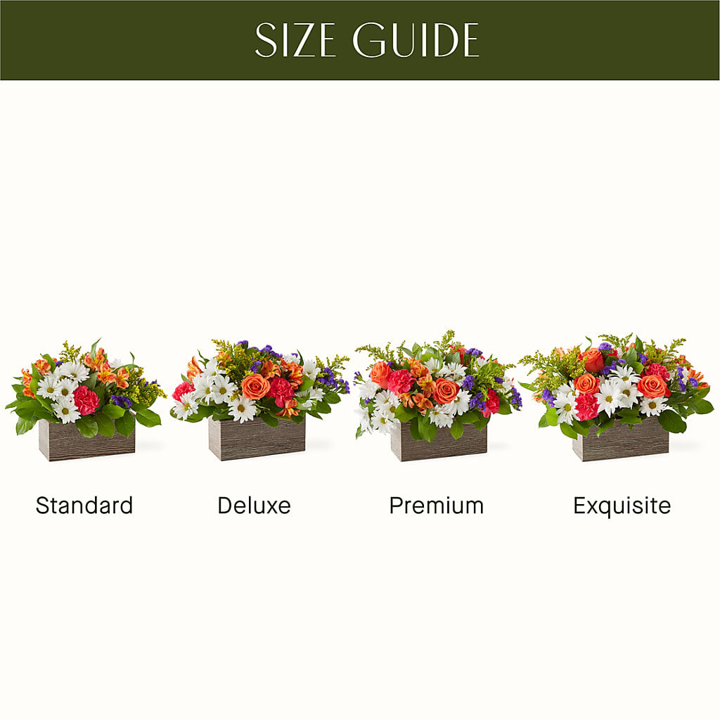 Oopsie Daisy Box Bouquet – Maplewood Florist, Maplewood NJ