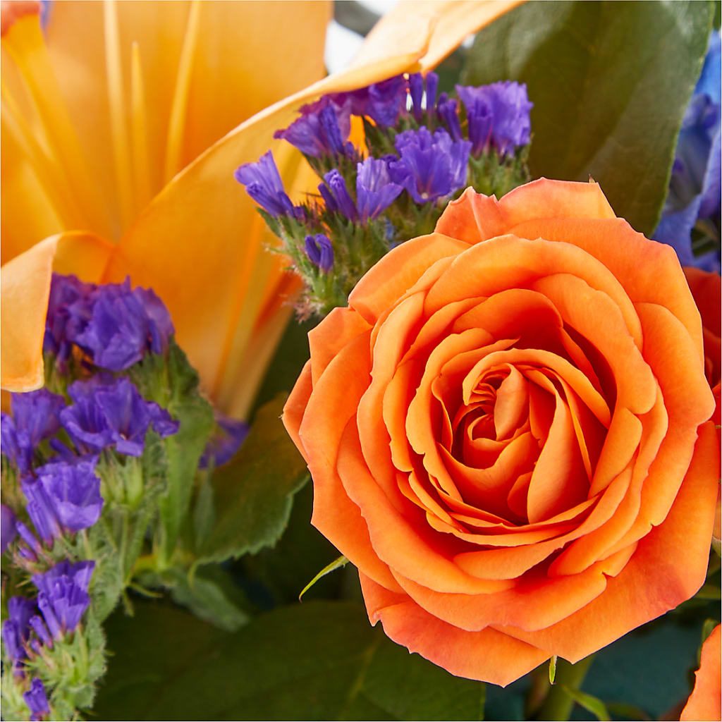 Radiant Citrus Box Bouquet – Maplewood Florist, Maplewood NJ