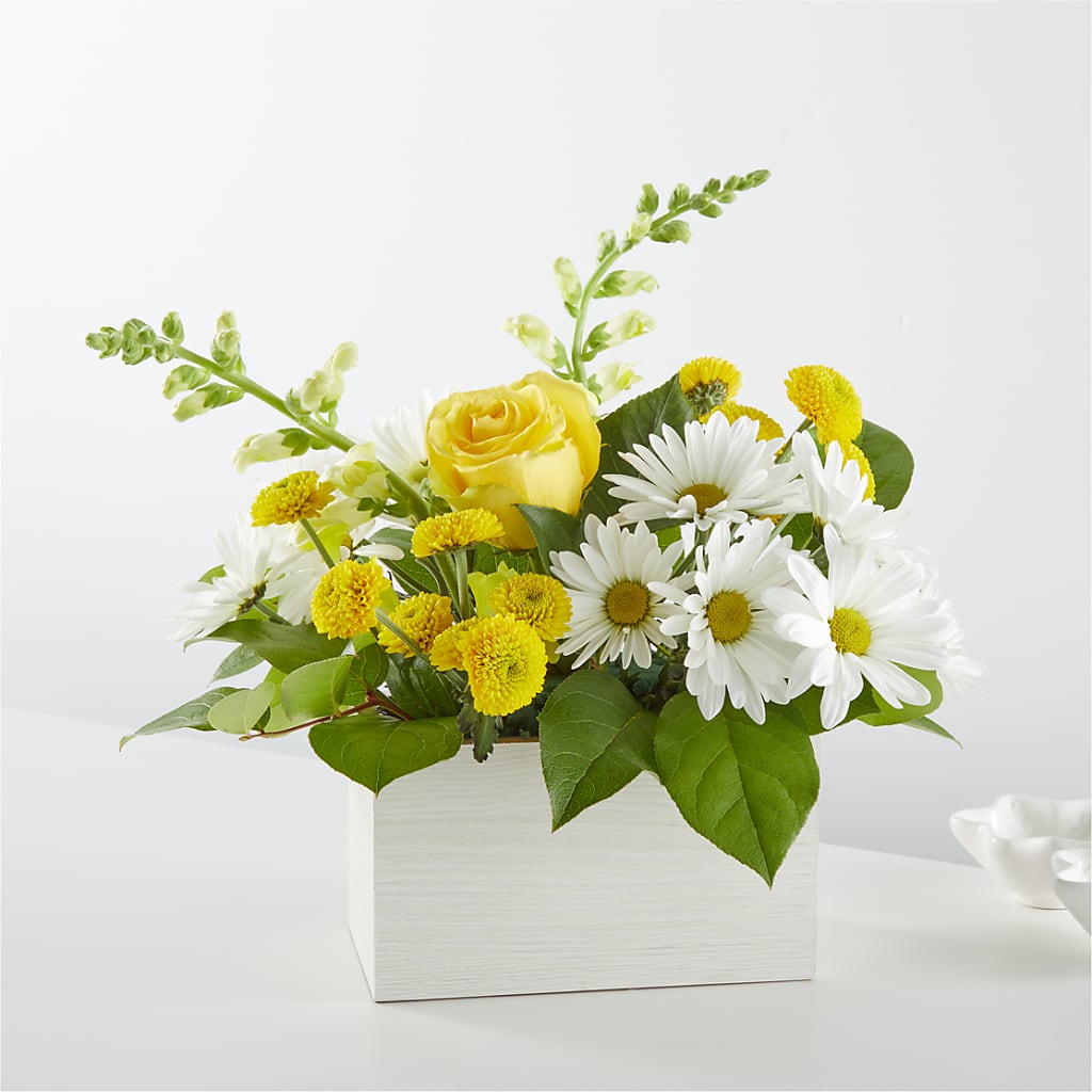 Sun Salutation Box Bouquet – Maplewood Florist, Maplewood NJ