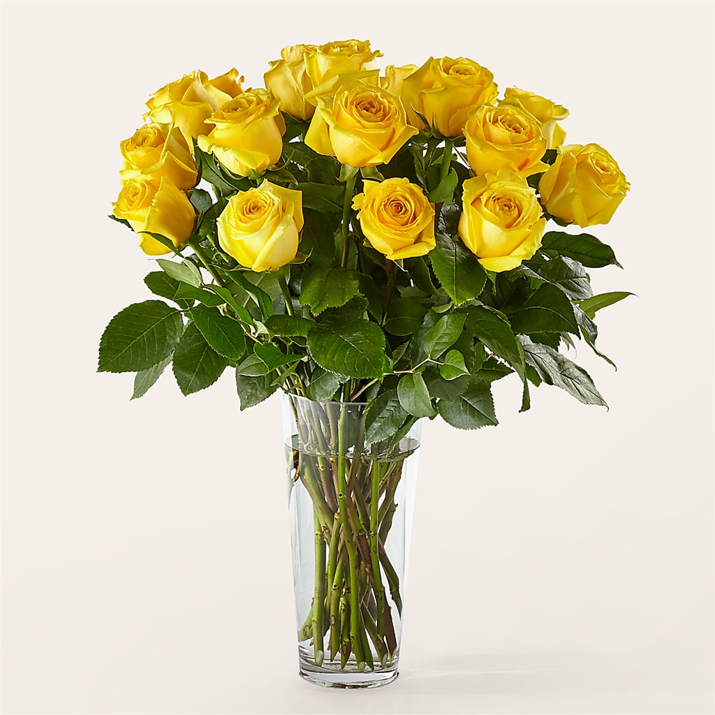 Long Stem Yellow Rose Bouquet – Maplewood Florist, Maplewood NJ