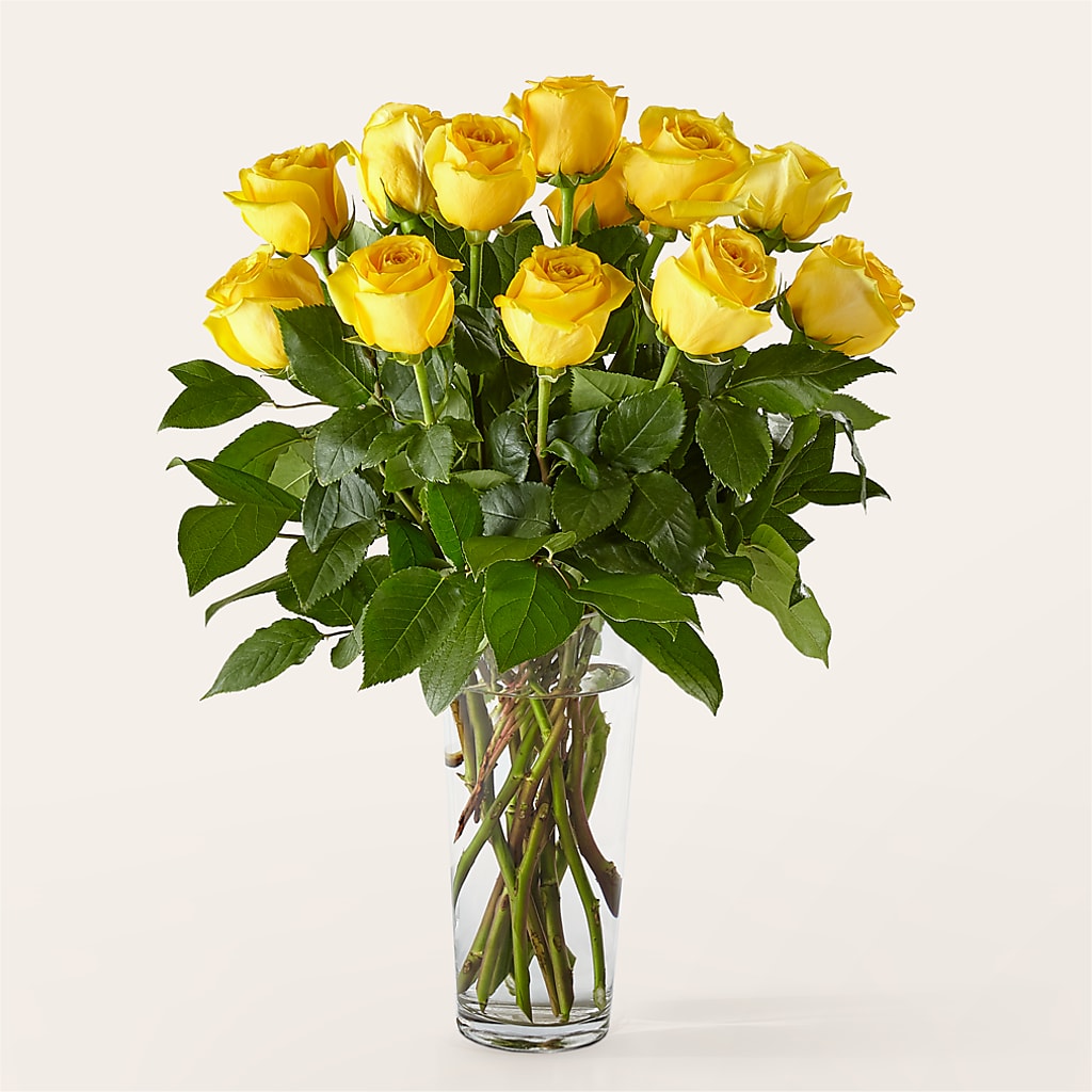 Long Stem Yellow Rose Bouquet – Maplewood Florist, Maplewood NJ
