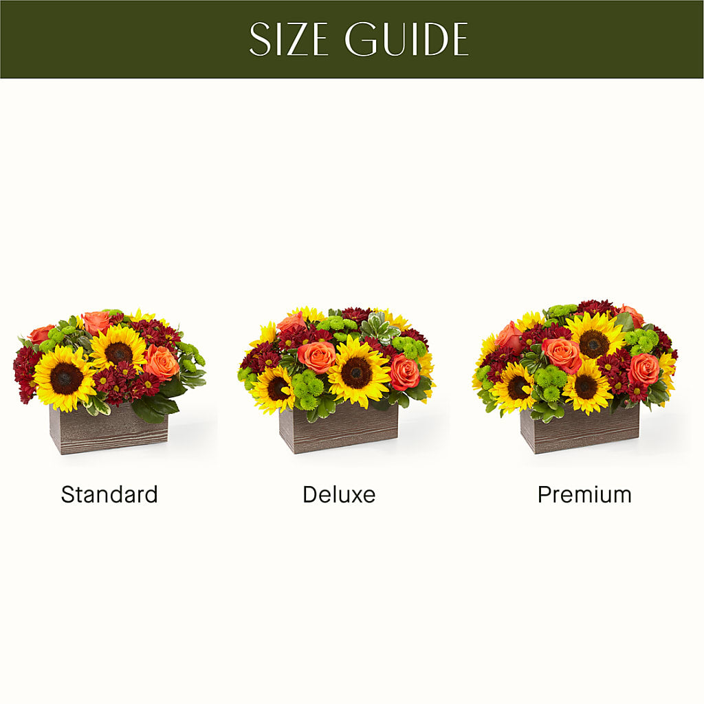 Happy Harvest Garden – Maplewood Florist, Maplewood NJ