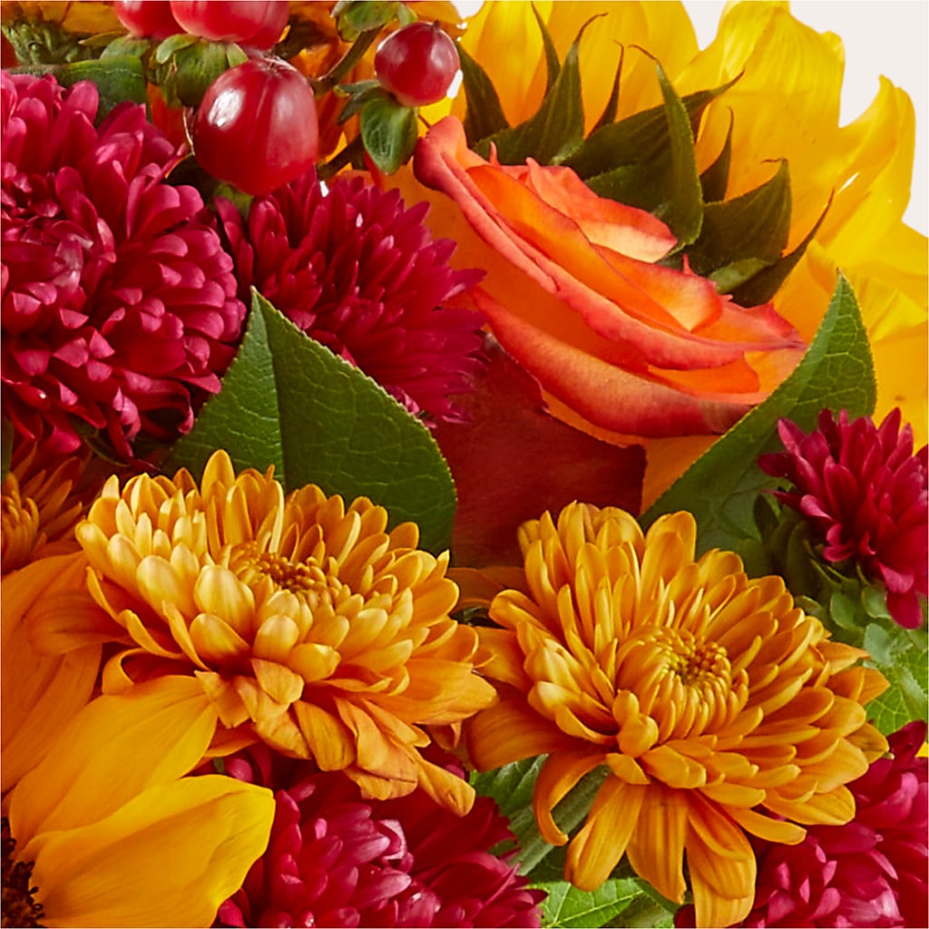 Sweater Season - A Florist Original – Maplewood Florist, Maplewood NJ