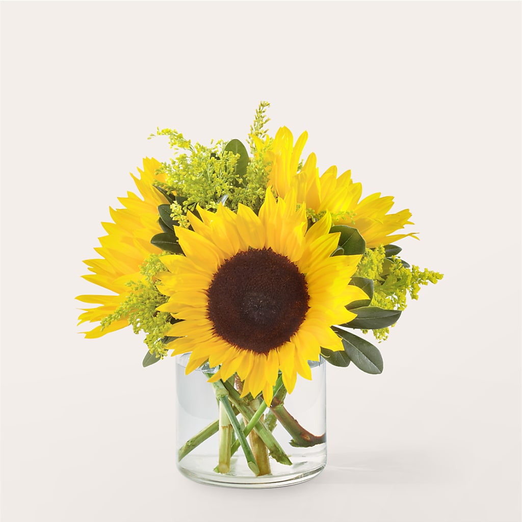 Beaming Sunflower Bouquet – Maplewood Florist, Maplewood NJ
