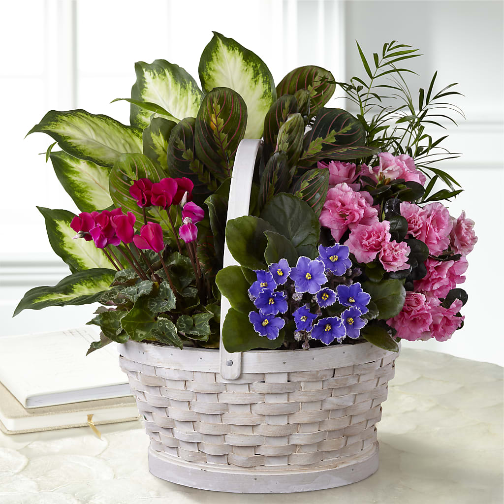 Peaceful Garden Planter – Maplewood Florist, Maplewood NJ