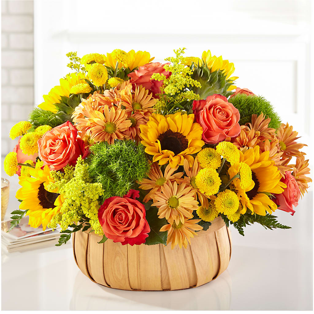Harvest Sunflower Basket – Maplewood Florist, Maplewood NJ