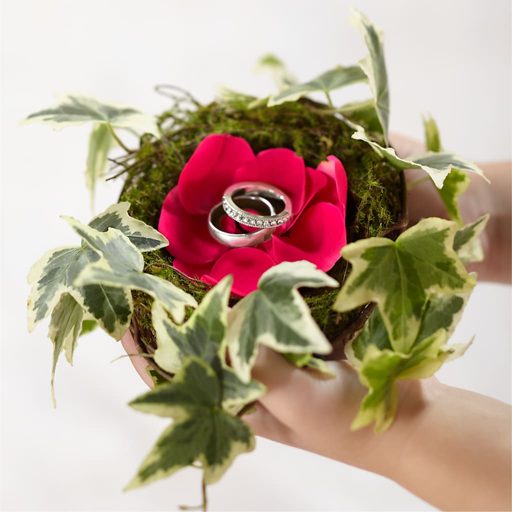 Lila Rose Ring Nest – Maplewood Florist, Maplewood NJ