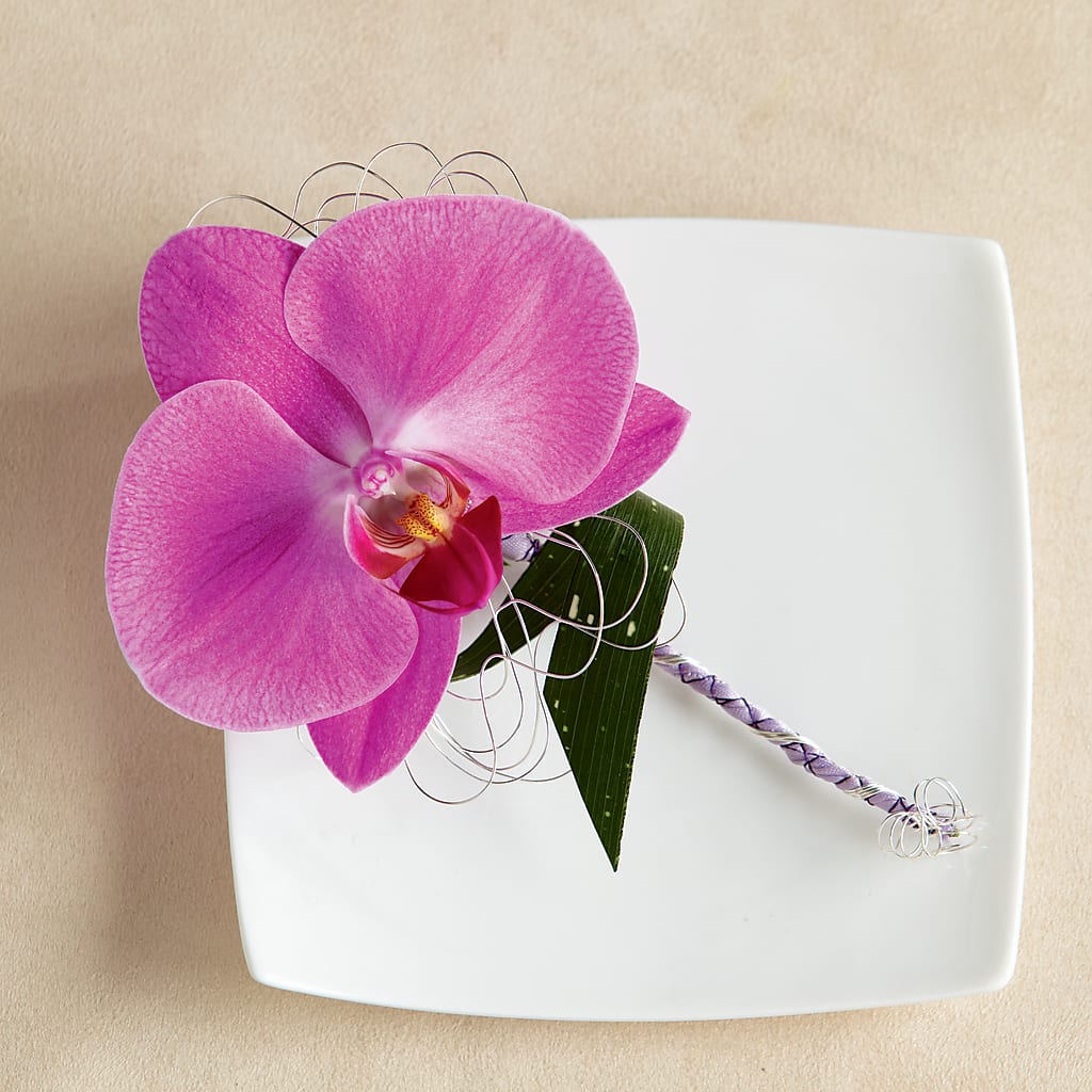 Glorious Boutonniere – Maplewood Florist, Maplewood NJ