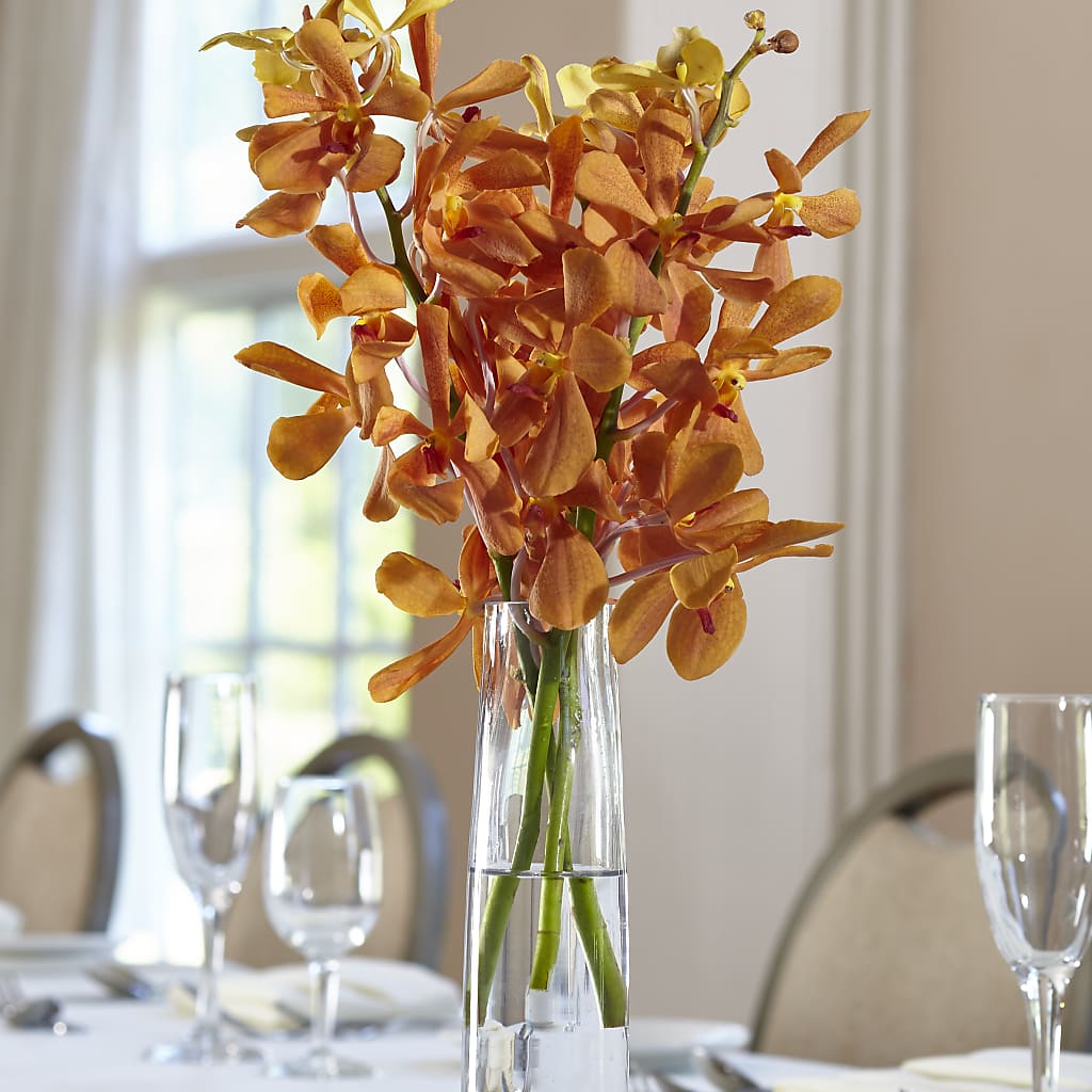 Orange Mokara Bud Vase – Maplewood Florist, Maplewood NJ