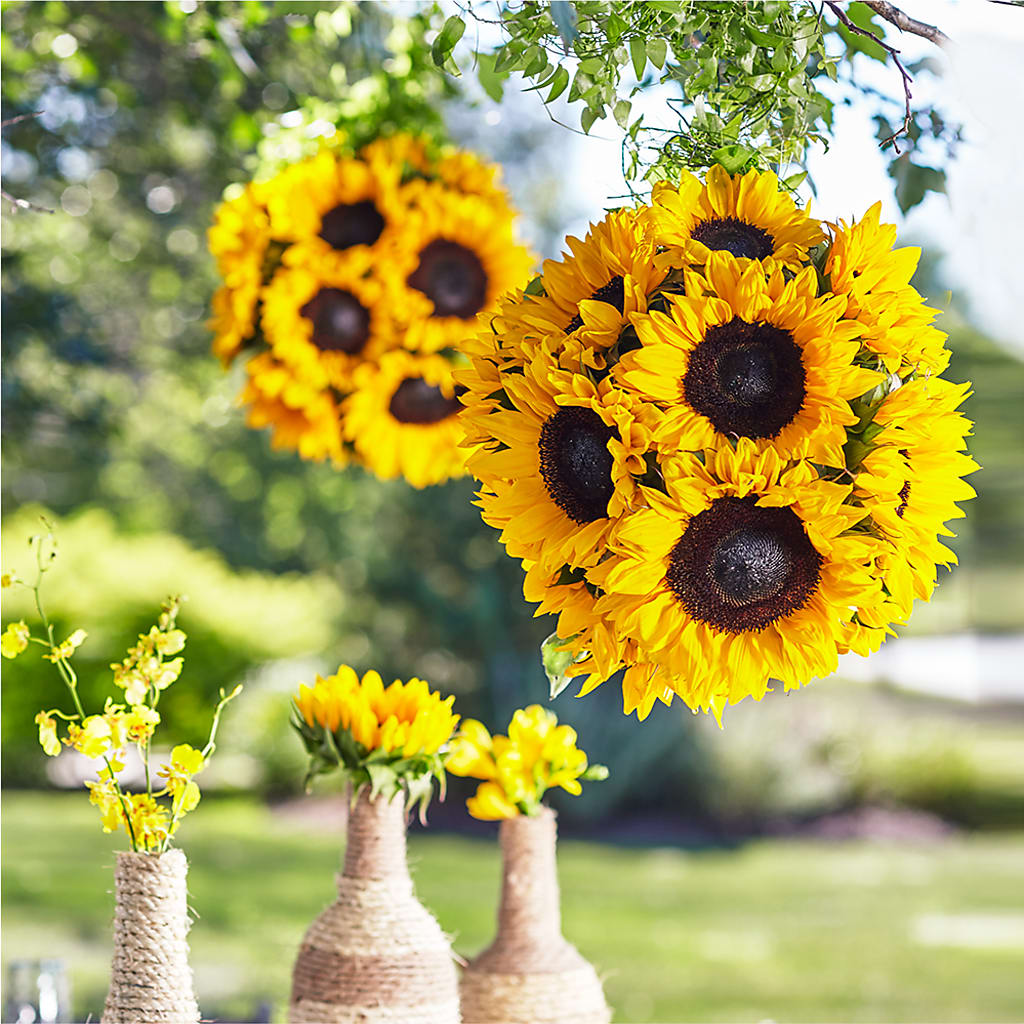 Sublime Garden Hanging Arrangement – Maplewood Florist, Maplewood NJ
