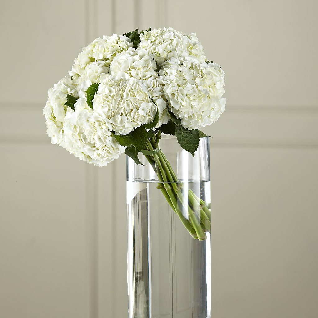 White Hydrangea Hand-Tied Bouquet – Maplewood Florist, Maplewood NJ