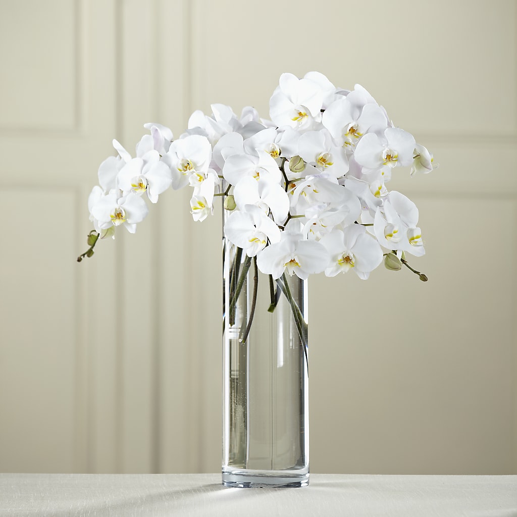White Phalaenopsis Bouquet – Maplewood Florist, Maplewood NJ