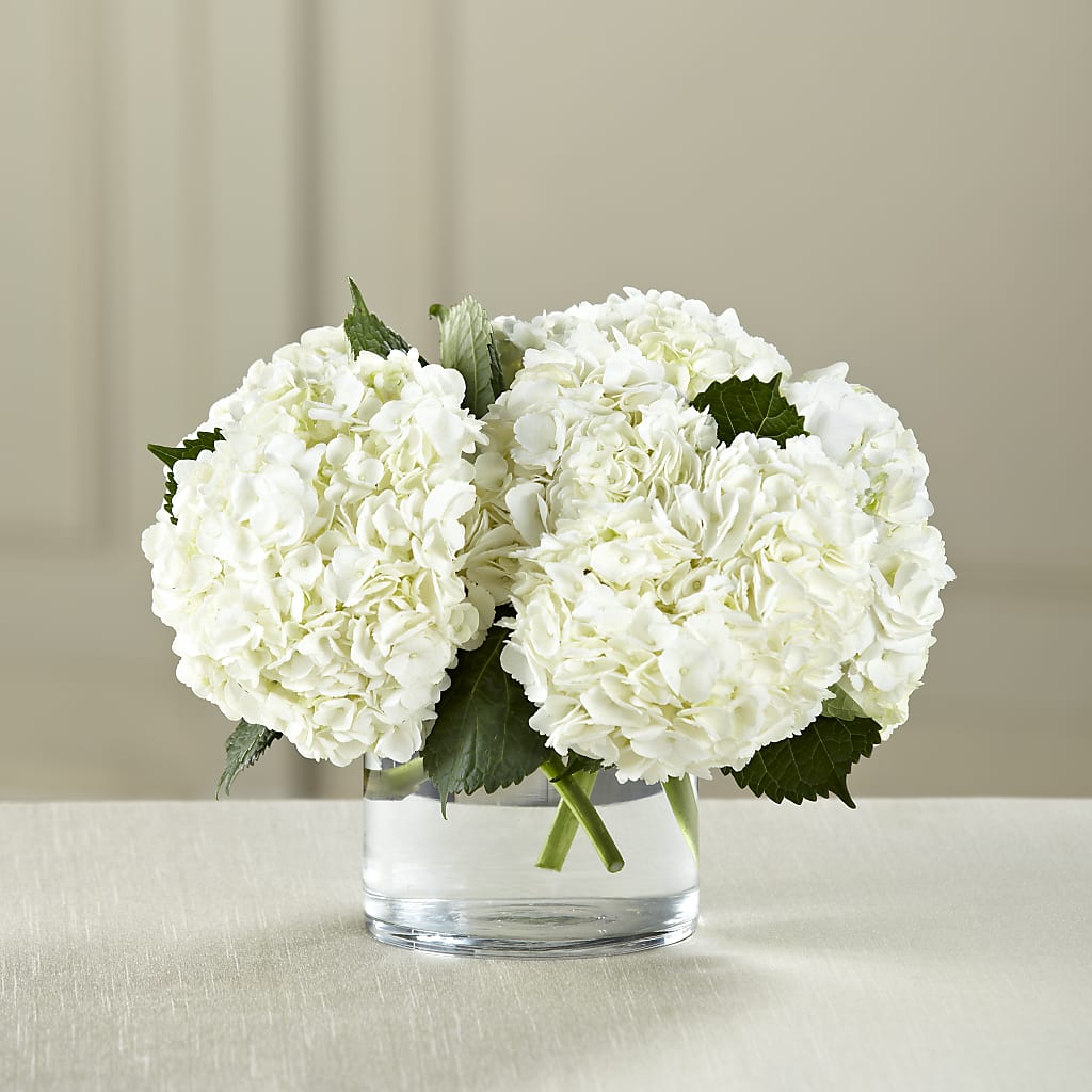 White Hydrangea Bouquet – Maplewood Florist, Maplewood NJ