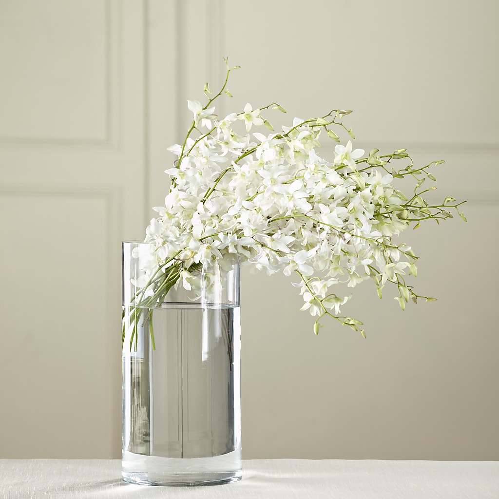 White Dendrobium Bouquet – Maplewood Florist, Maplewood NJ