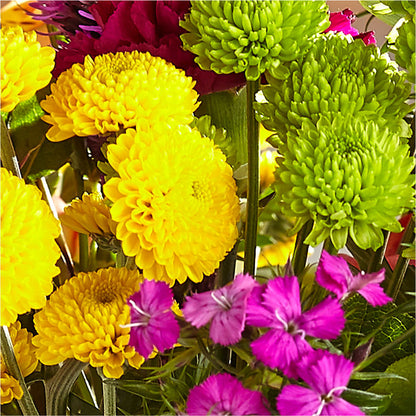 Bold & Bright – A Florist Original –  Maplewood Florist, Maplewood NJ