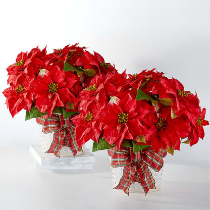 Happiest Holidays Poinsettia Bundle –  Maplewood Florist, Maplewood NJ