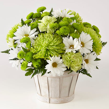 Lucky Charm Basket (Standard) –  Maplewood Florist, Maplewood NJ