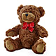 Adorable Plush Bear –  Maplewood Florist, Maplewood NJ