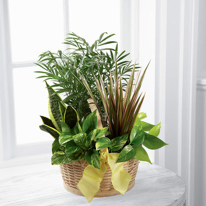 French Garden –  Maplewood Florist, Maplewood NJ