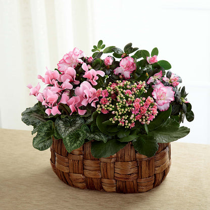Pink Assortment –  Maplewood Florist, Maplewood NJ
