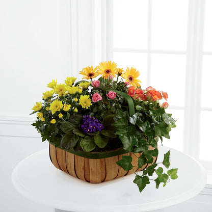 Gentle Blossoms Basket –  Maplewood Florist, Maplewood NJ