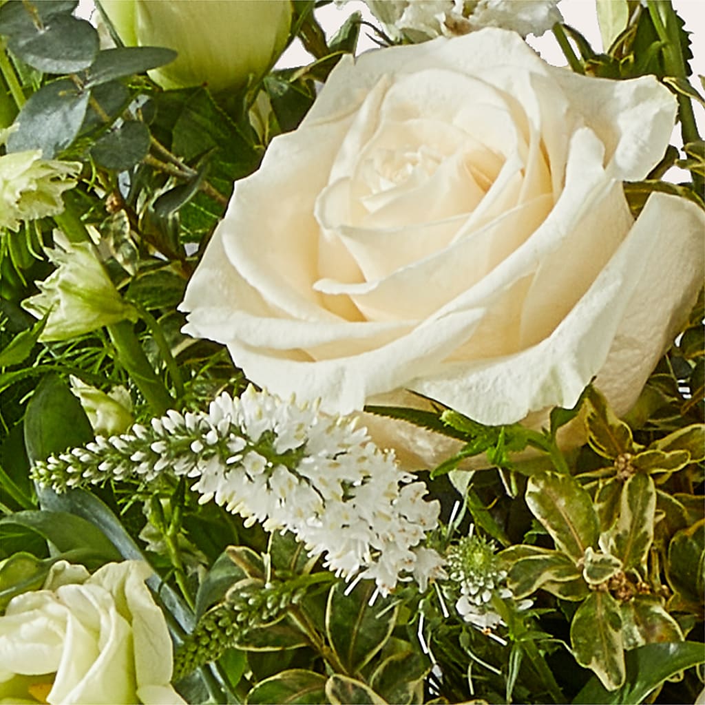 Cashmere Bouquet –  Maplewood Florist, Maplewood NJ