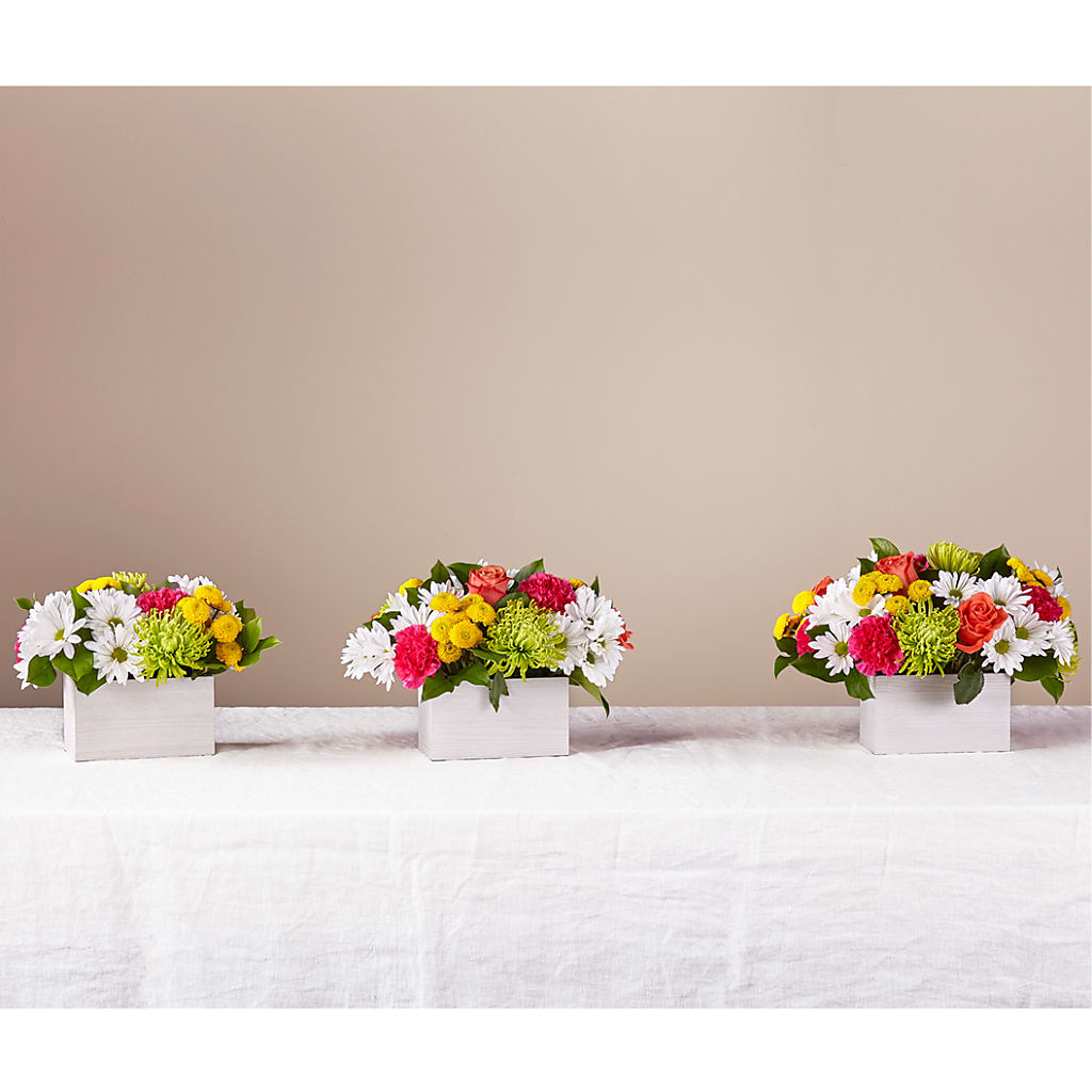 Sorbet Bouquet –  Maplewood Florist, Maplewood NJ