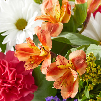 Oopsie Daisy Box Bouquet –  Maplewood Florist, Maplewood NJ
