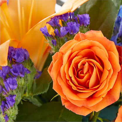 Radiant Citrus Box Bouquet –  Maplewood Florist, Maplewood NJ