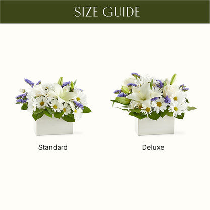 Beyond Blue Box Bouquet –  Maplewood Florist, Maplewood NJ