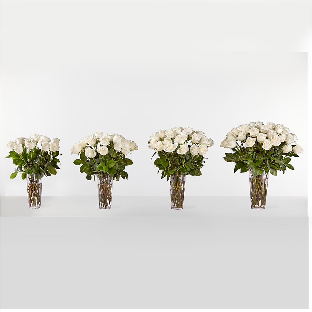 Long Stem White Rose Bouquet –  Maplewood Florist, Maplewood NJ