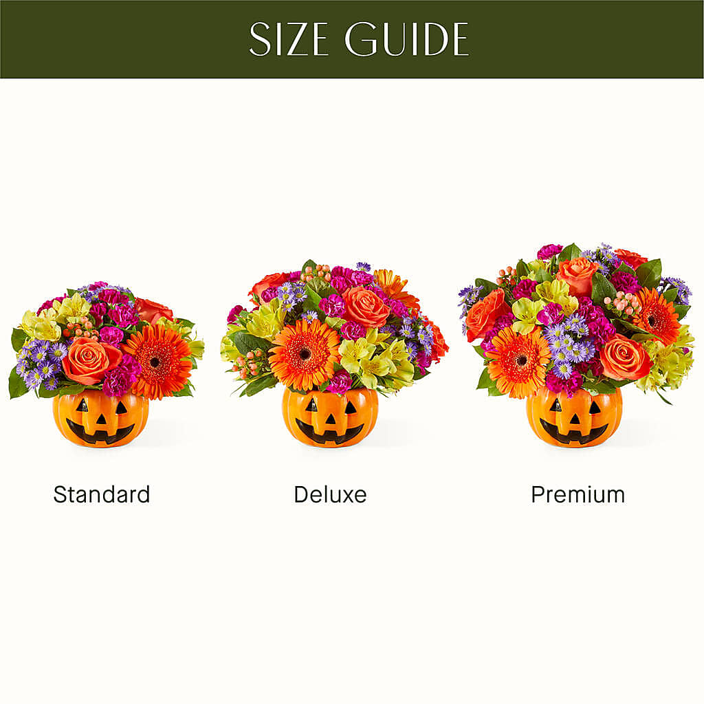 Tricks & Treats Pumpkin –  Maplewood Florist, Maplewood NJ