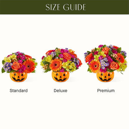 Tricks & Treats Pumpkin –  Maplewood Florist, Maplewood NJ