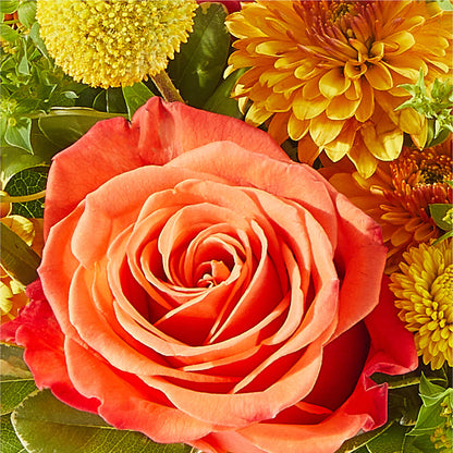 Gourdgeous Pumpkin –  Maplewood Florist, Maplewood NJ