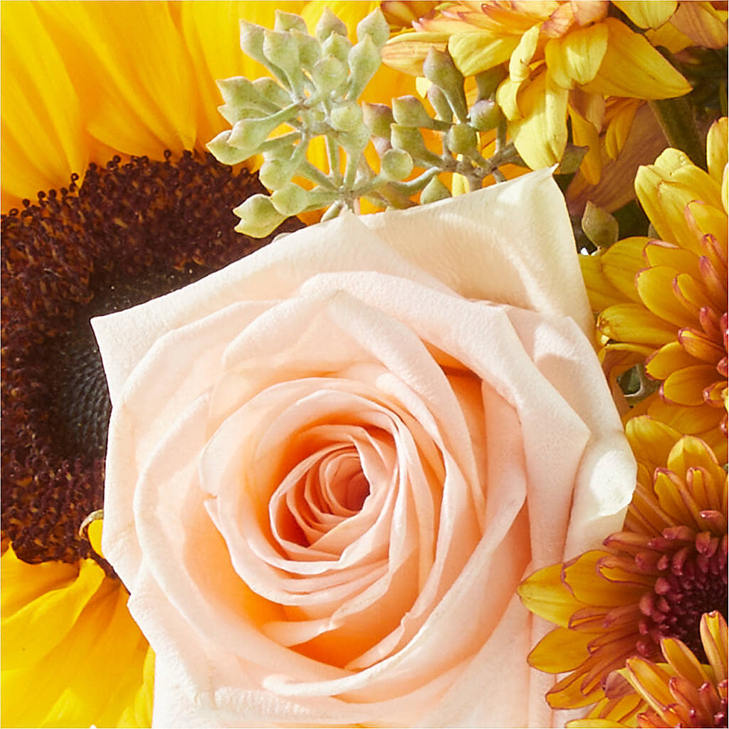 Pumpkin to Talk About Bouquet –  Maplewood Florist, Maplewood NJ