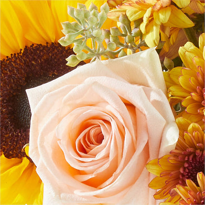 Pumpkin to Talk About Bouquet –  Maplewood Florist, Maplewood NJ