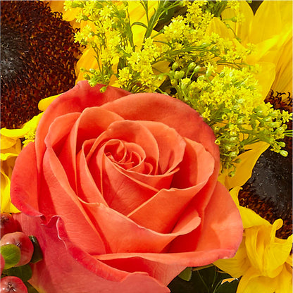 Pick of the Patch Pumpkin Bouquet –  Maplewood Florist, Maplewood NJ