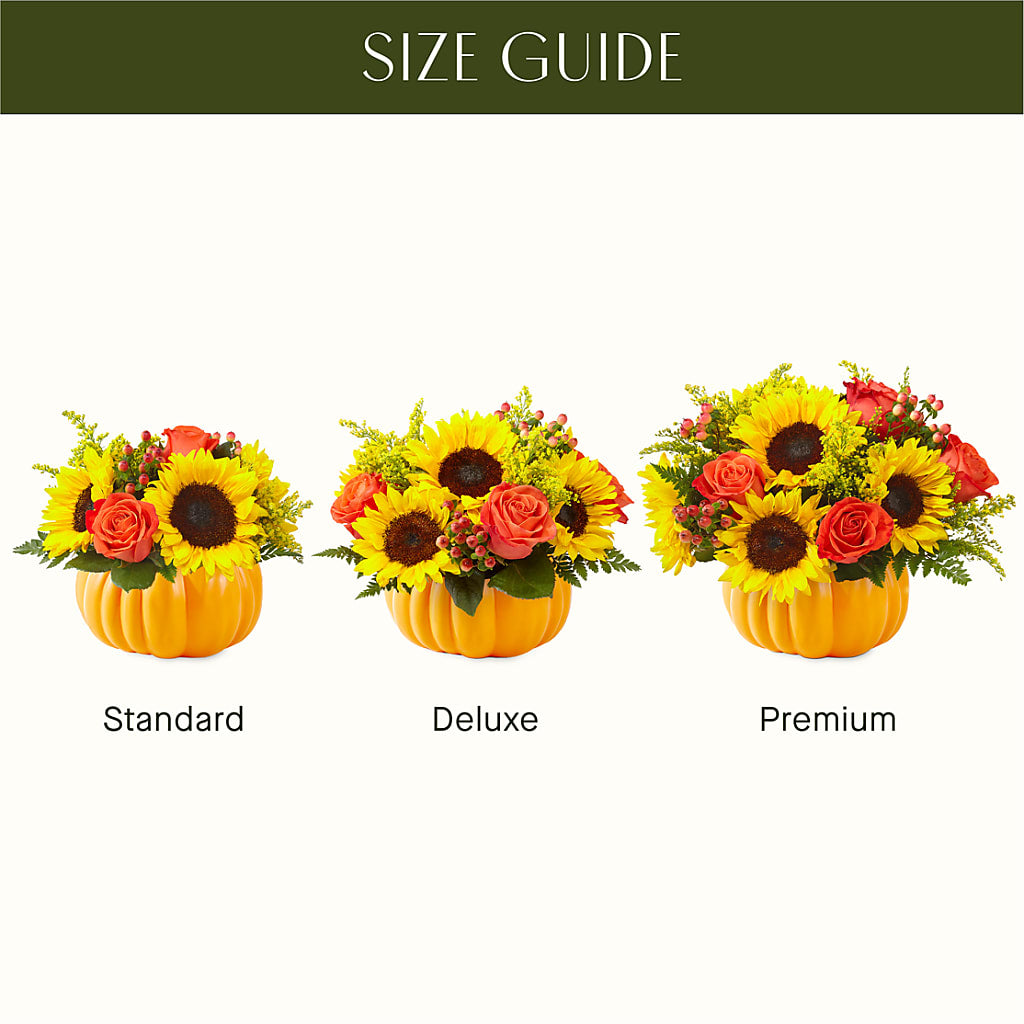 Pick of the Patch Pumpkin Bouquet –  Maplewood Florist, Maplewood NJ