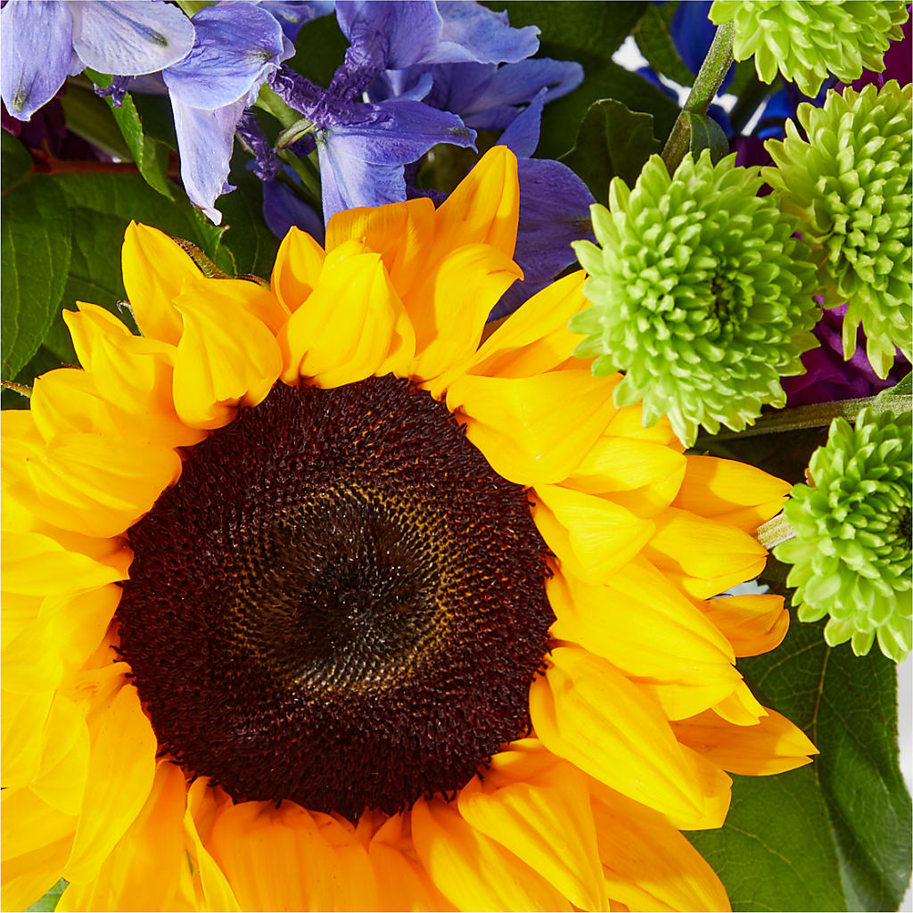 Catching Rays Bouquet –  Maplewood Florist, Maplewood NJ