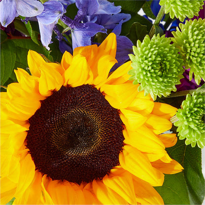 Catching Rays Bouquet –  Maplewood Florist, Maplewood NJ