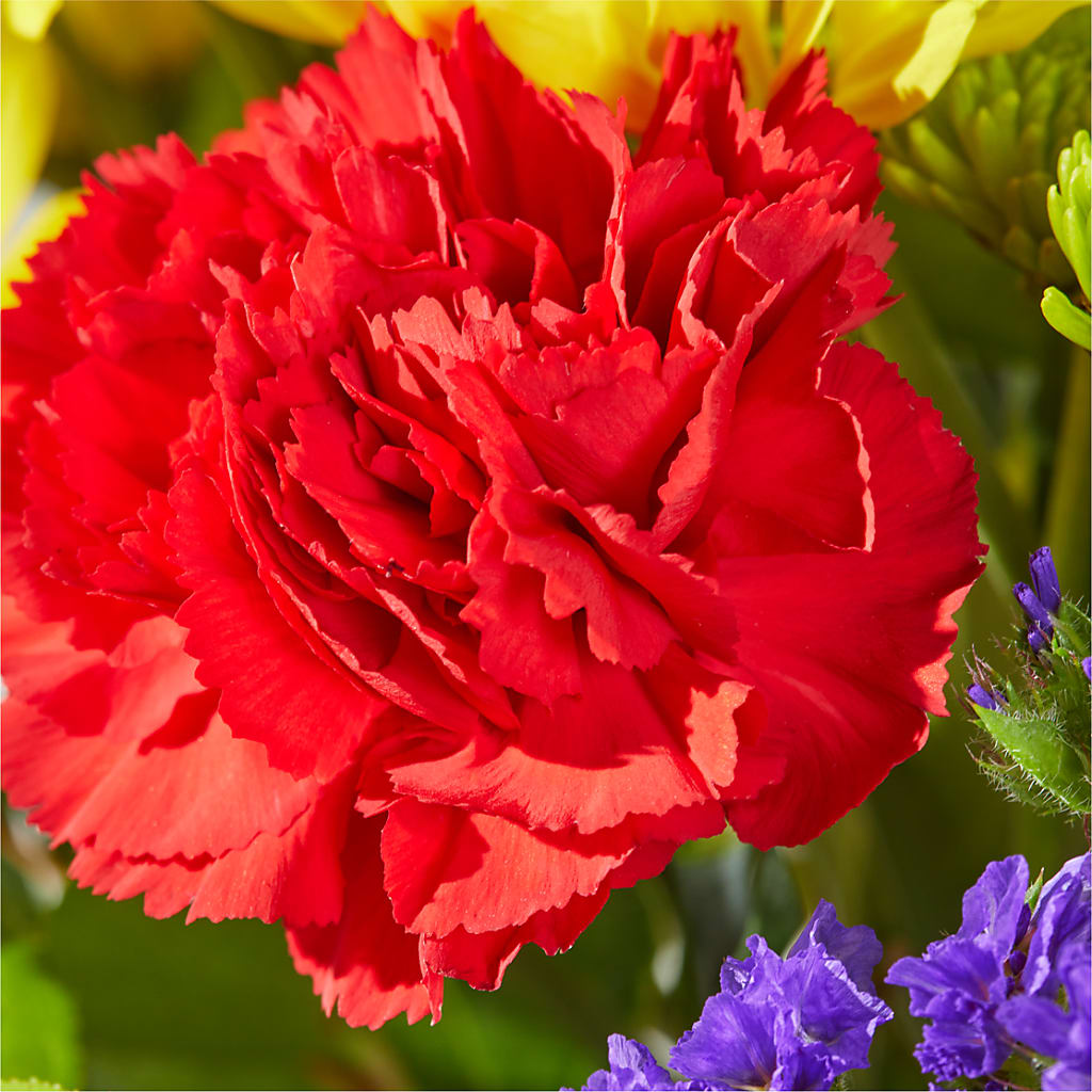 Brighter Days Bouquet –  Maplewood Florist, Maplewood NJ