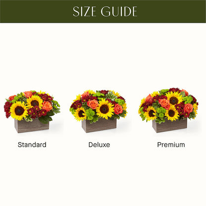 Happy Harvest Garden –  Maplewood Florist, Maplewood NJ