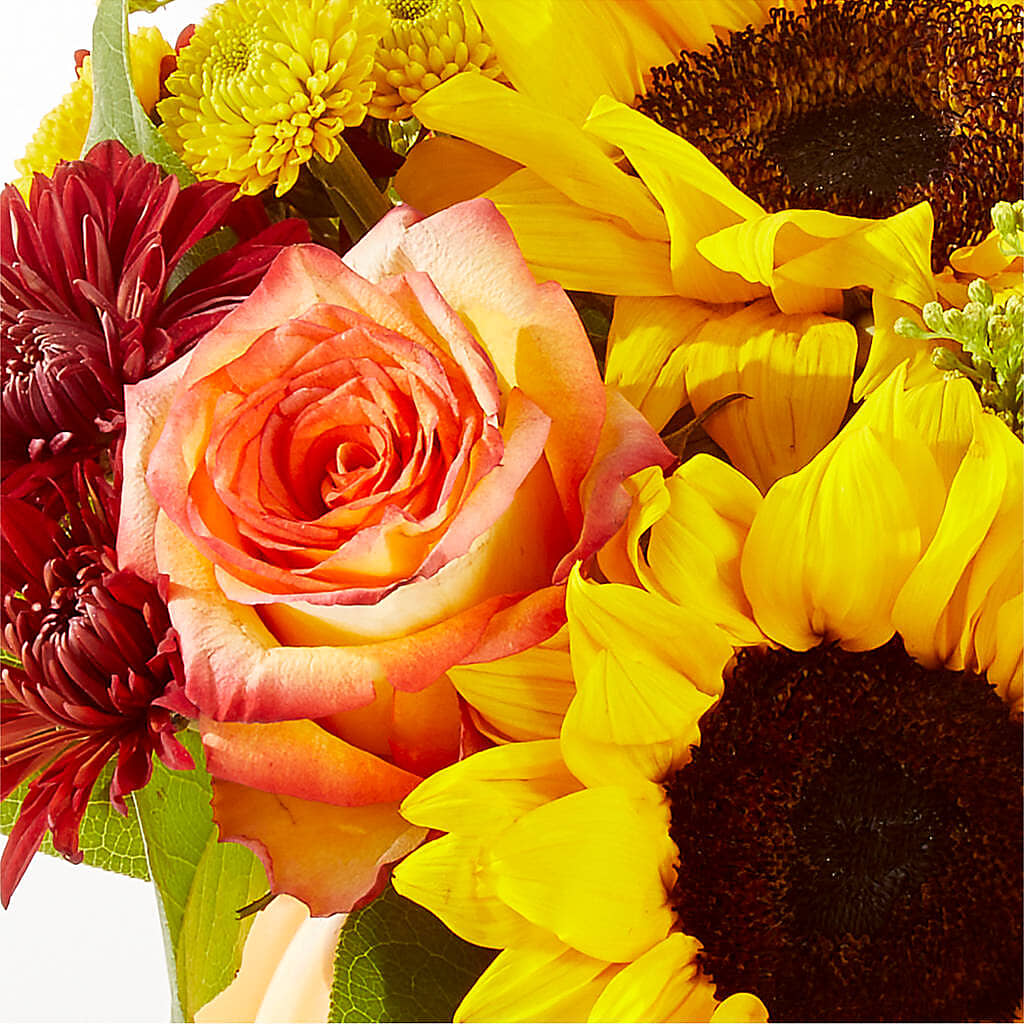 Golden Gourd Pumpkin Bouquet –  Maplewood Florist, Maplewood NJ