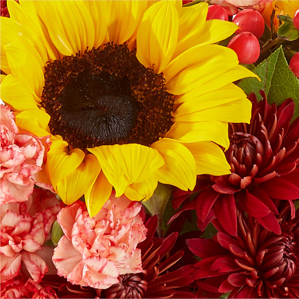 Fresh Cider Bouquet –  Maplewood Florist, Maplewood NJ