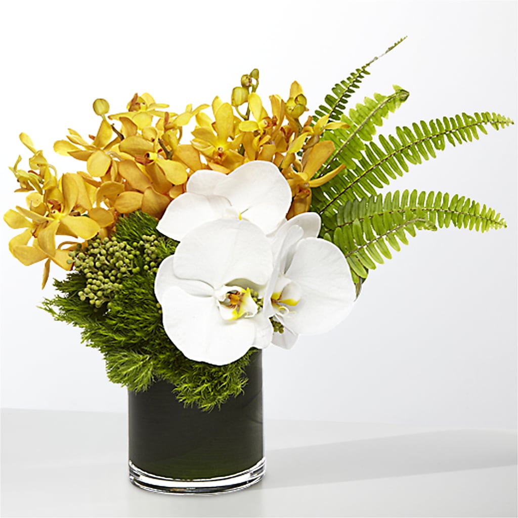 The Tropics –  Maplewood Florist, Maplewood NJ
