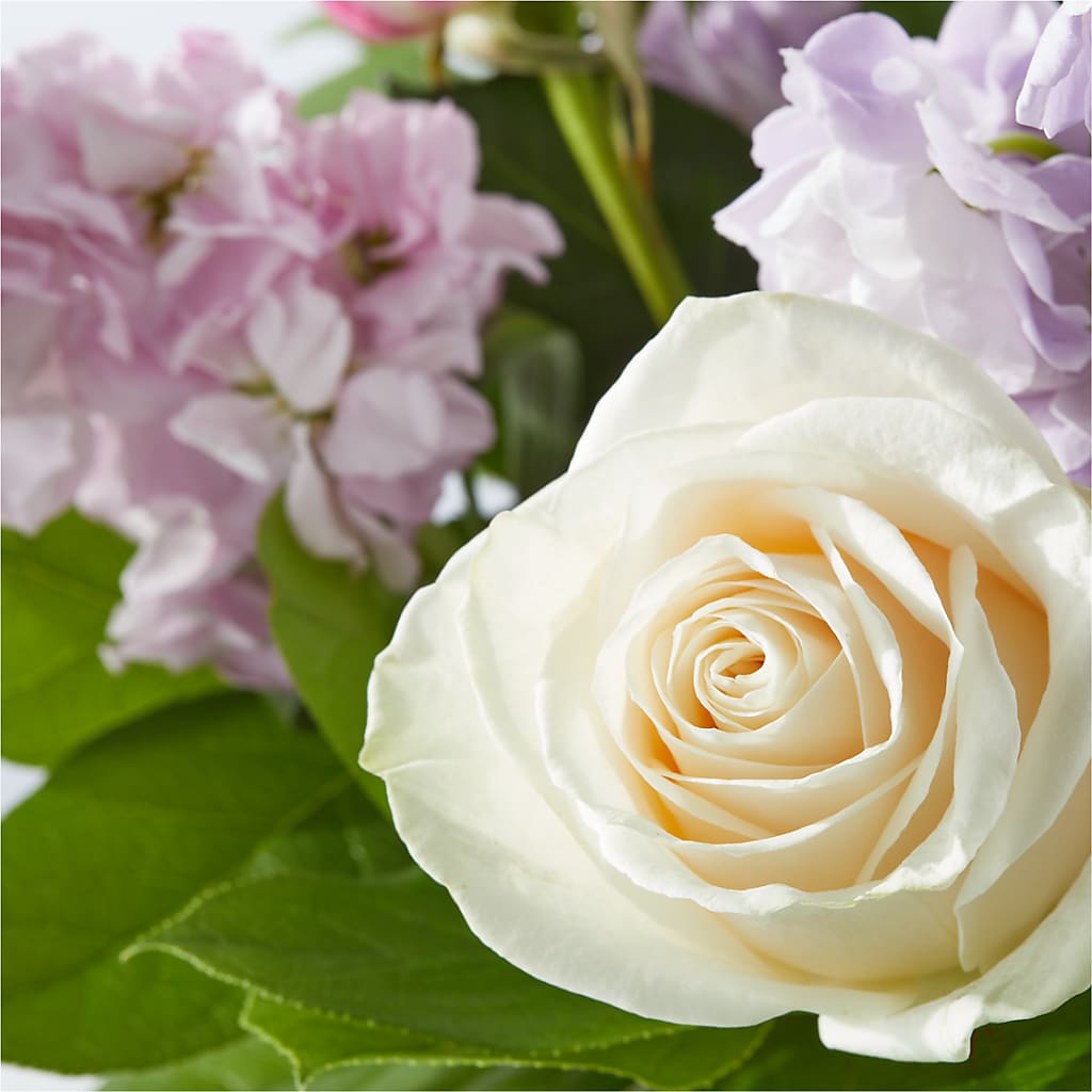 Springtime Spritz Bouquet –  Maplewood Florist, Maplewood NJ