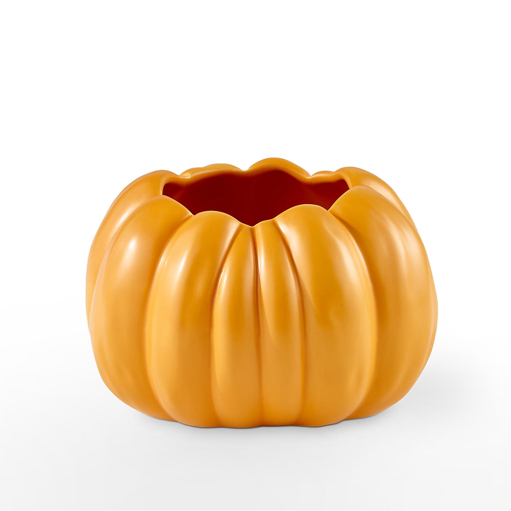 Pick of the Patch Pumpkin Bouquet –  Maplewood Florist, Maplewood NJ